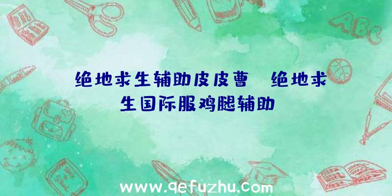 「绝地求生辅助皮皮曹」|绝地求生国际服鸡腿辅助